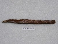 藏品(布氏粘盲鰻)的圖片